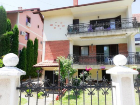 Vila Nikola, Soko Banja